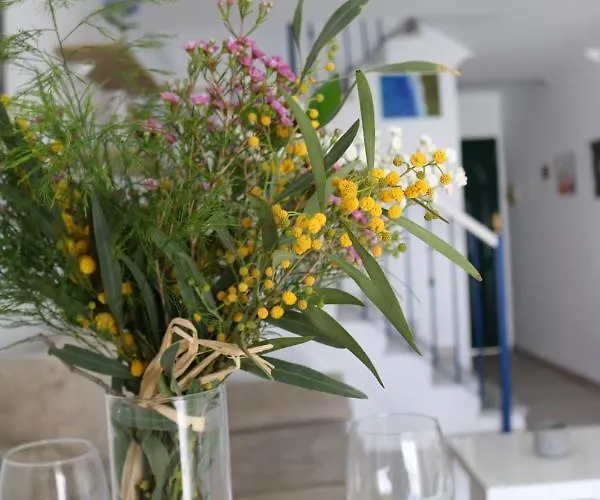 Duplex Avenida