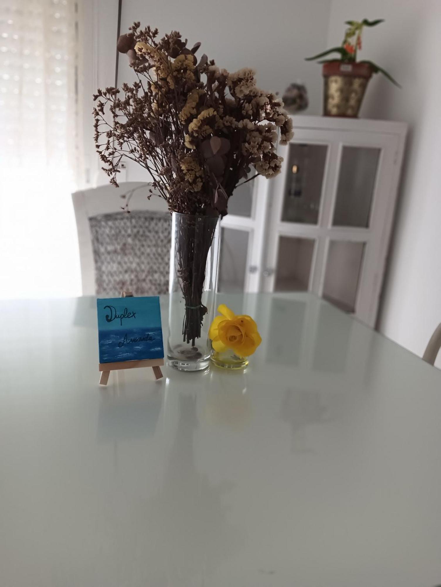 Duplex Avenida * Tarifa